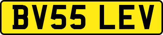 BV55LEV