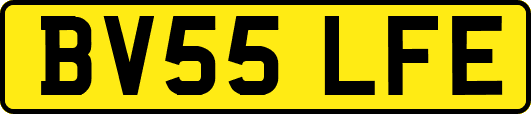 BV55LFE