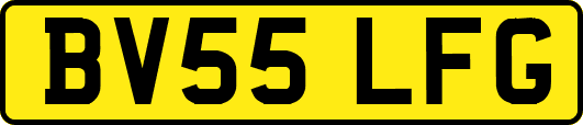 BV55LFG