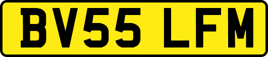 BV55LFM