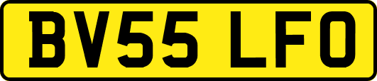 BV55LFO