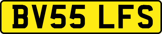 BV55LFS