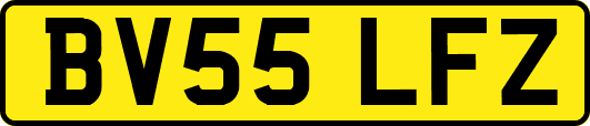 BV55LFZ