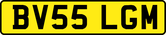 BV55LGM