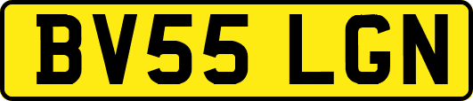 BV55LGN
