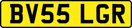 BV55LGR