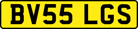 BV55LGS