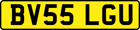 BV55LGU