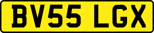 BV55LGX