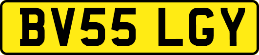 BV55LGY