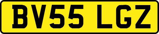 BV55LGZ