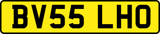 BV55LHO