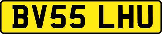 BV55LHU