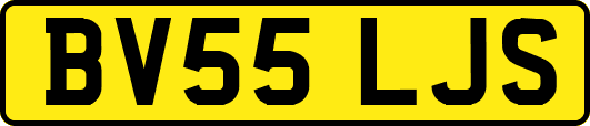 BV55LJS