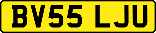 BV55LJU