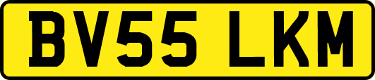 BV55LKM