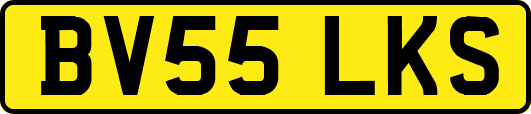 BV55LKS