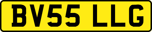 BV55LLG