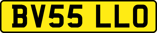 BV55LLO