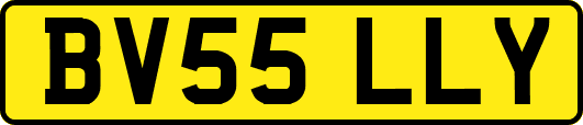 BV55LLY