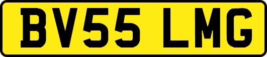 BV55LMG