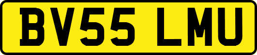 BV55LMU