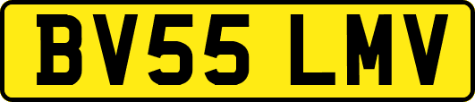 BV55LMV