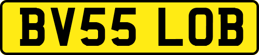 BV55LOB