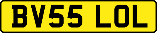 BV55LOL
