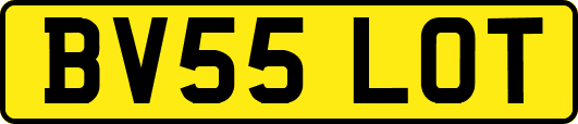 BV55LOT