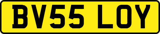 BV55LOY