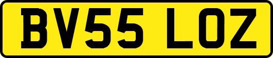 BV55LOZ