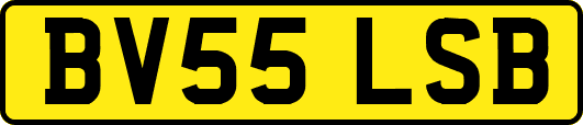 BV55LSB