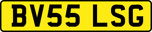BV55LSG