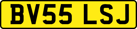 BV55LSJ