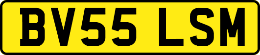 BV55LSM