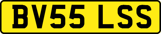 BV55LSS