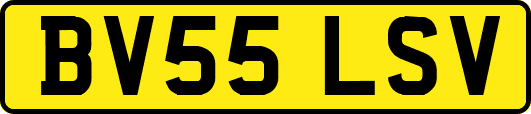 BV55LSV