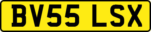 BV55LSX