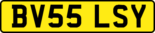 BV55LSY