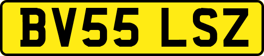BV55LSZ