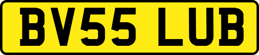 BV55LUB