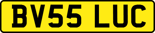 BV55LUC