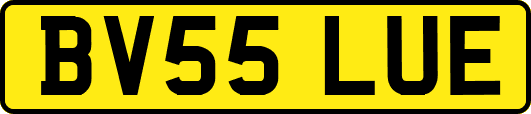 BV55LUE