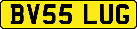 BV55LUG