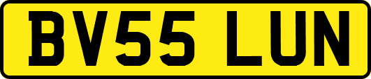 BV55LUN