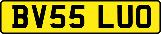 BV55LUO