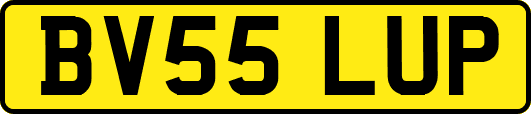 BV55LUP