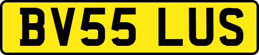 BV55LUS