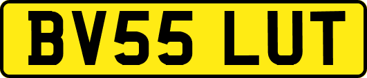 BV55LUT